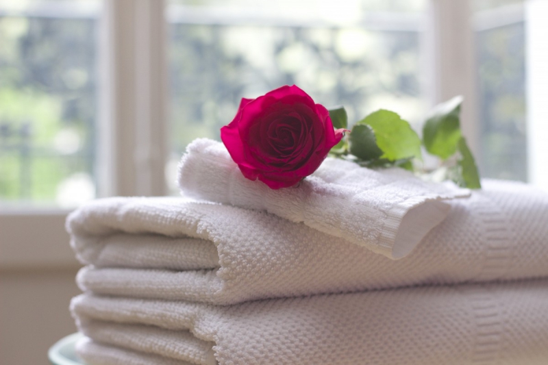 hotel-BREIL SUR ROYA-min_towel_rose_clean_care_salon_spa_white_bath-731641